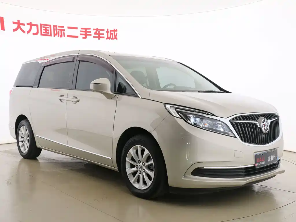 Buick GL8 — миниатюра 3