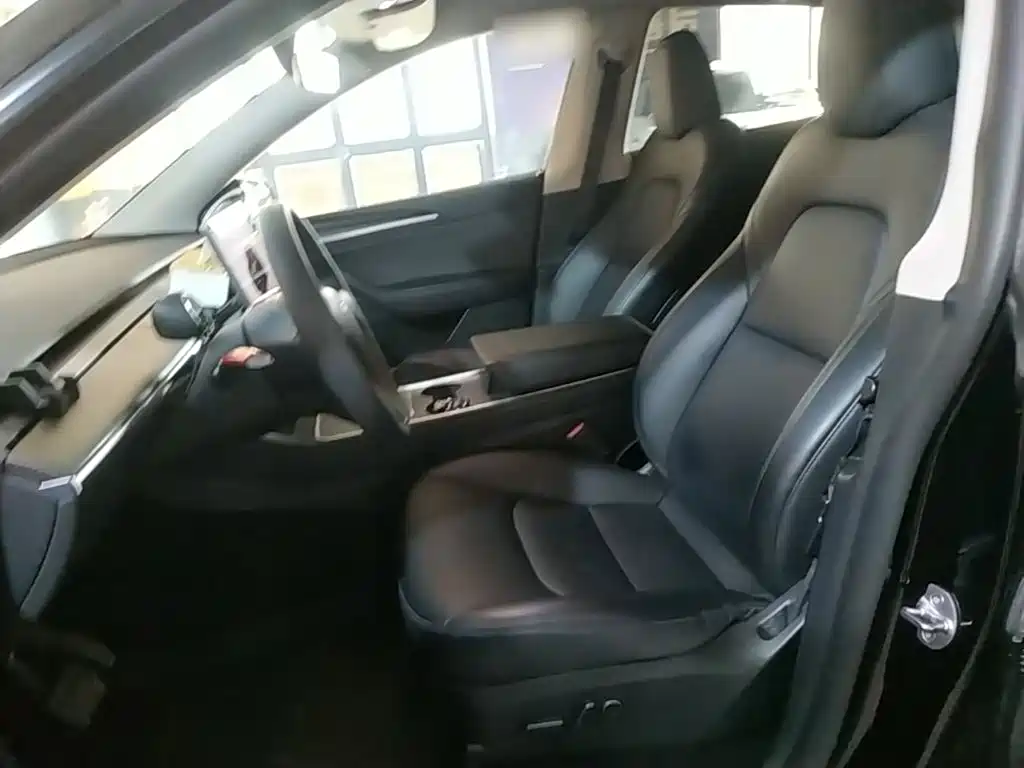 Tesla Model Y — миниатюра 15
