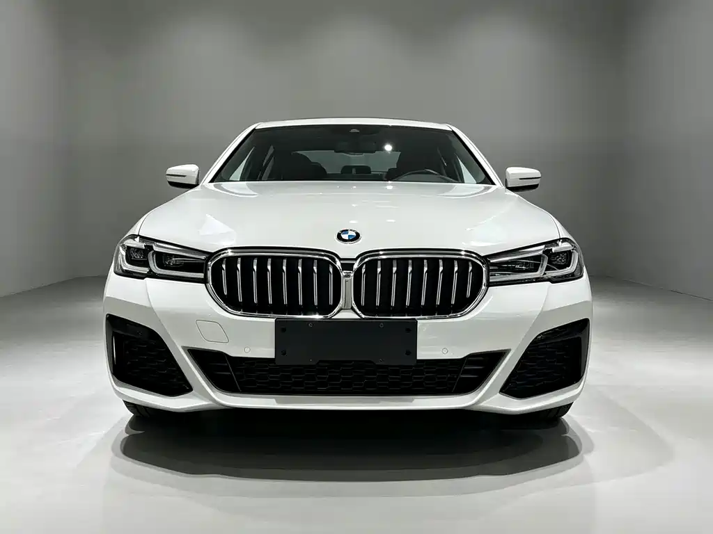 BMW 5 Series — миниатюра 2