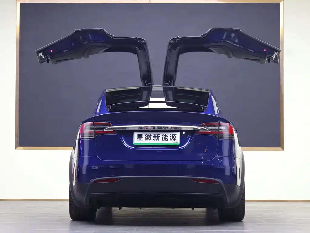 TESLA MODEL X