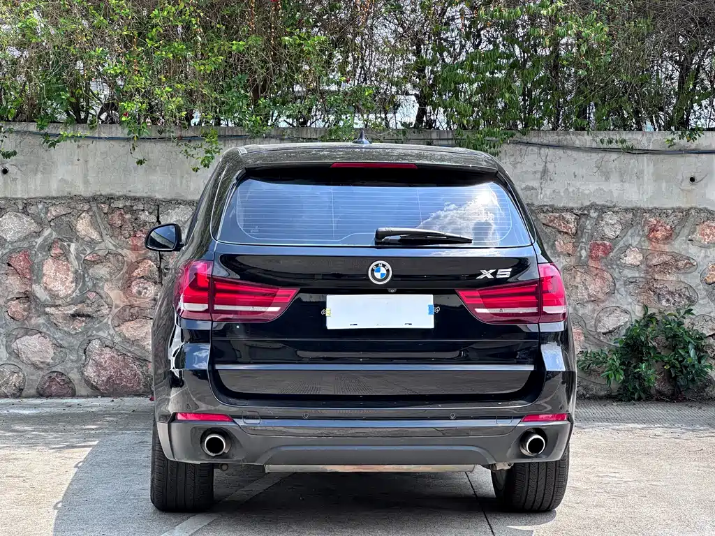 BMW X5 2014 xDrive35i Lead