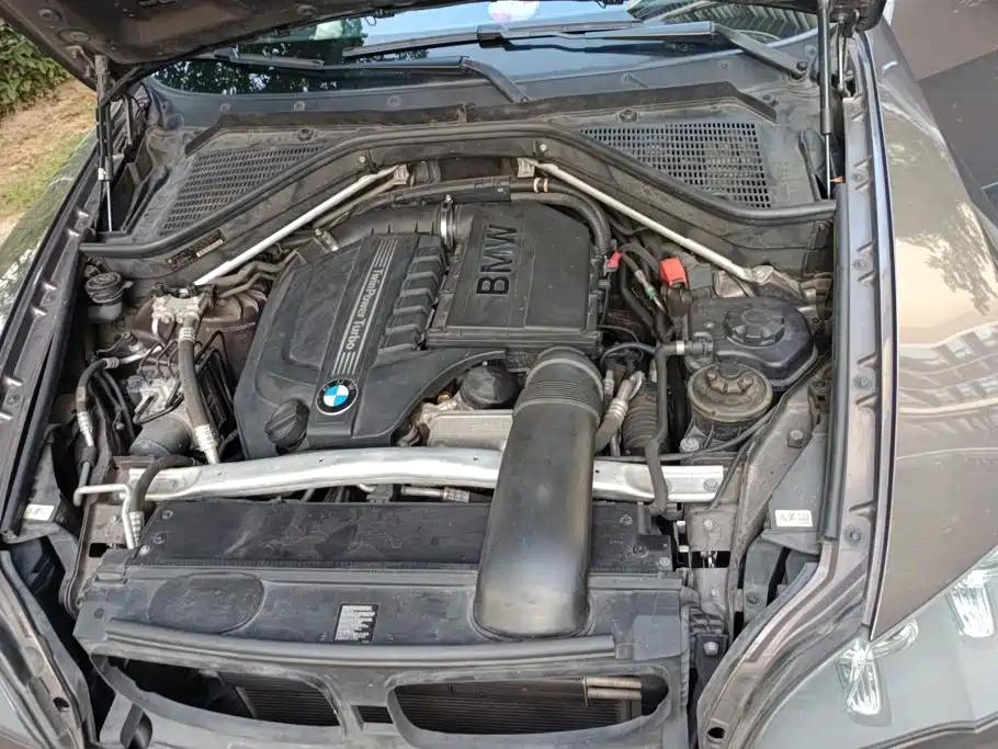 BMW X5 (Import) — миниатюра 10