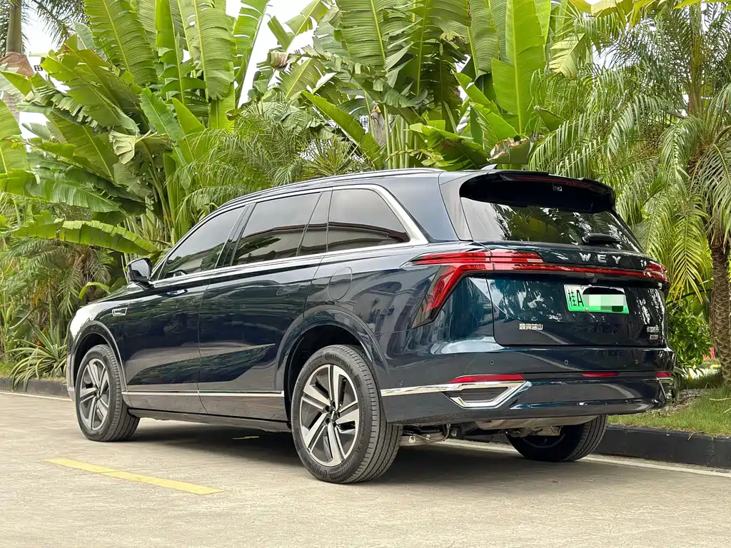 WEI PAI WEI BRAND BLUE MOUNTAIN