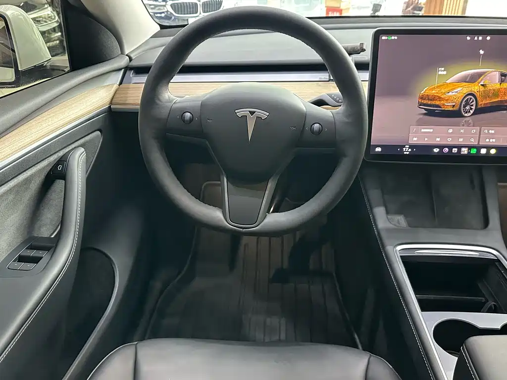 Tesla Model Y — миниатюра 12