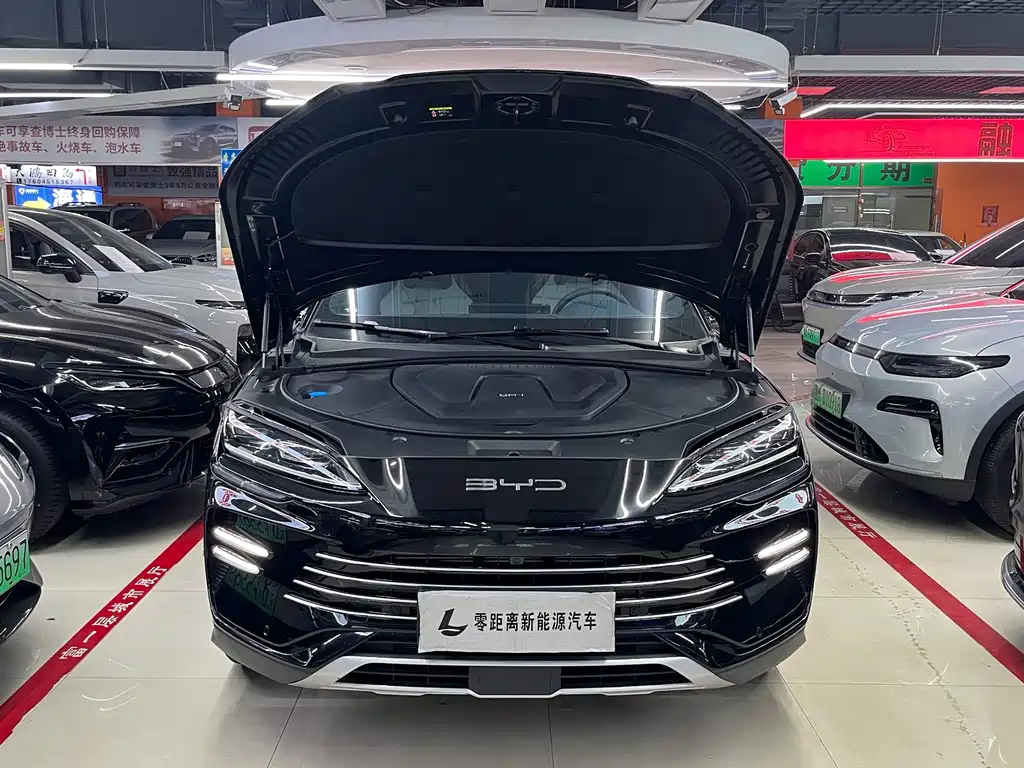 BYD PLUS New Energy — миниатюра 18