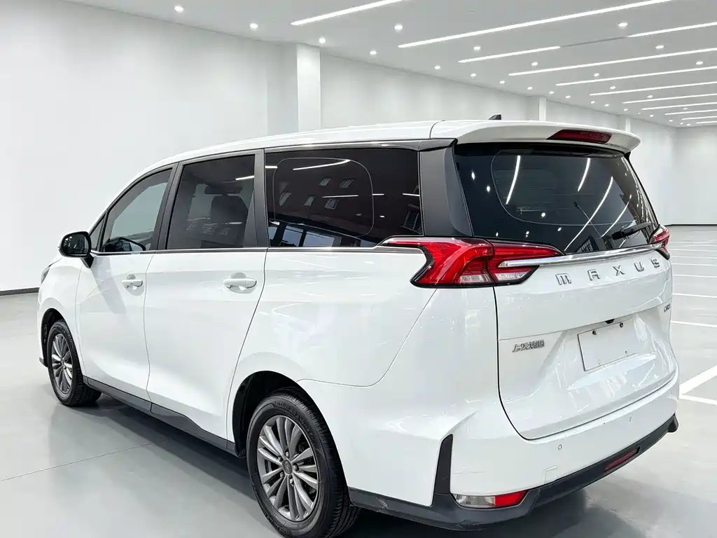 MAXUS G50 — миниатюра 6