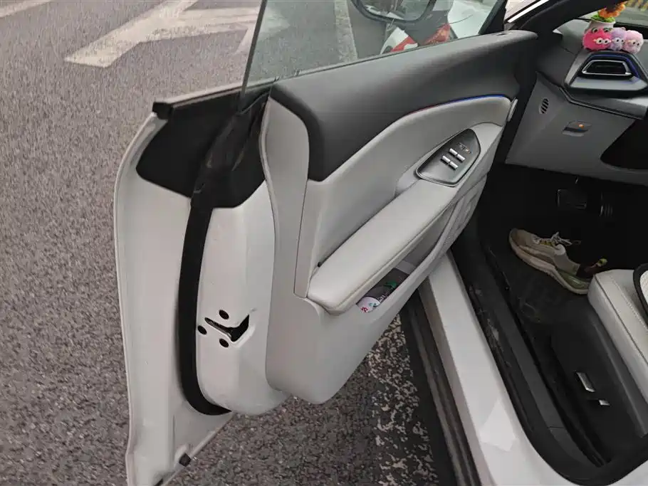 ARCFOX EXTREME FOX POLAR FOX ALPHA S5