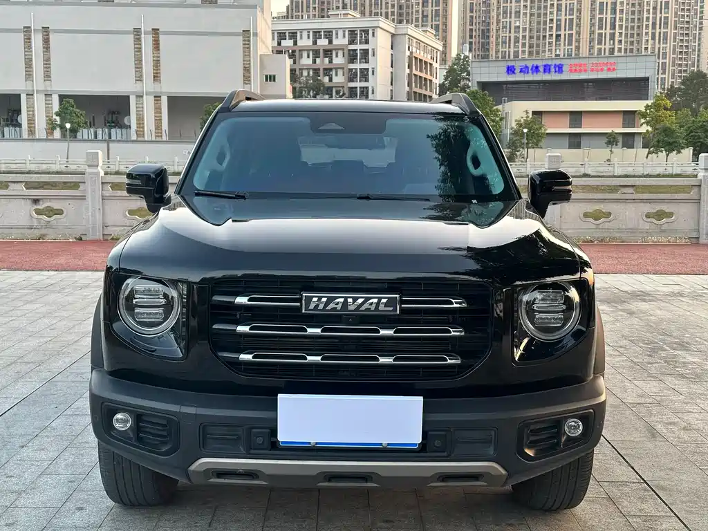 HAVAL BIG DOG