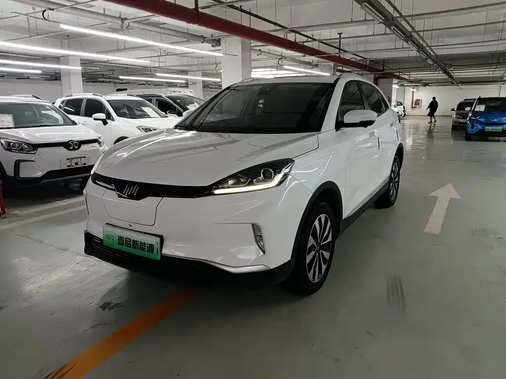 Weltmeister WEIMA EX5