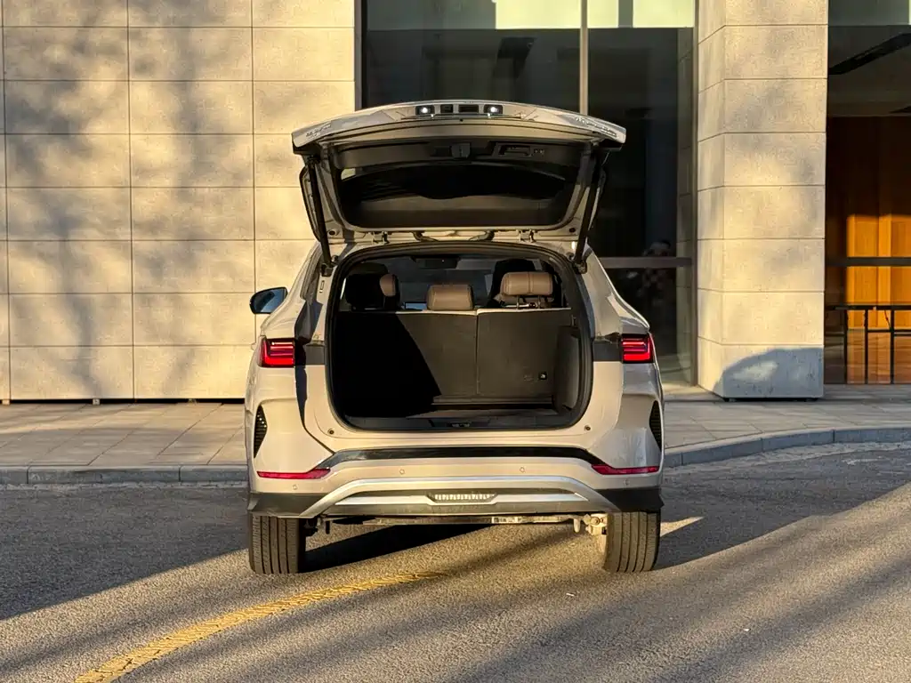 BYD SONGJIANG NEW ENERGY