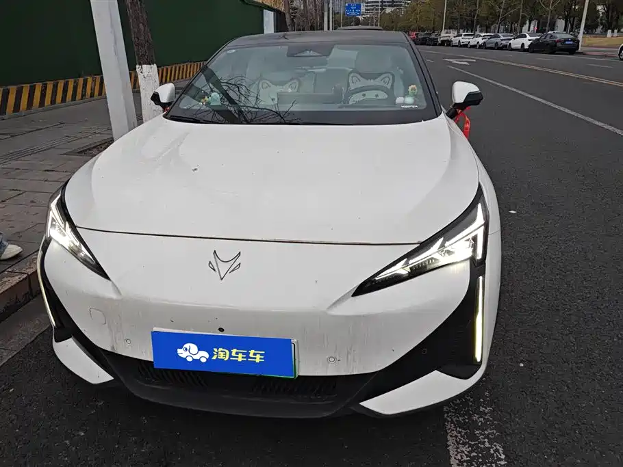 ARCFOX EXTREME FOX POLAR FOX ALPHA S5