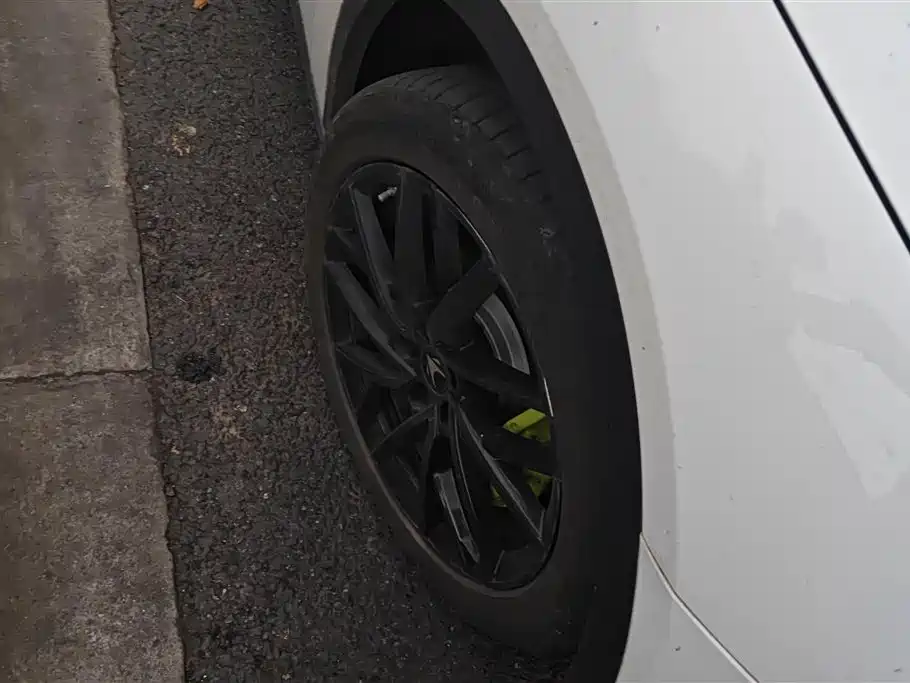 ARCFOX EXTREME FOX POLAR FOX ALPHA S5