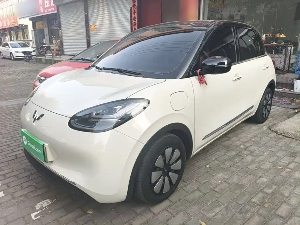 Wuling Binguo
