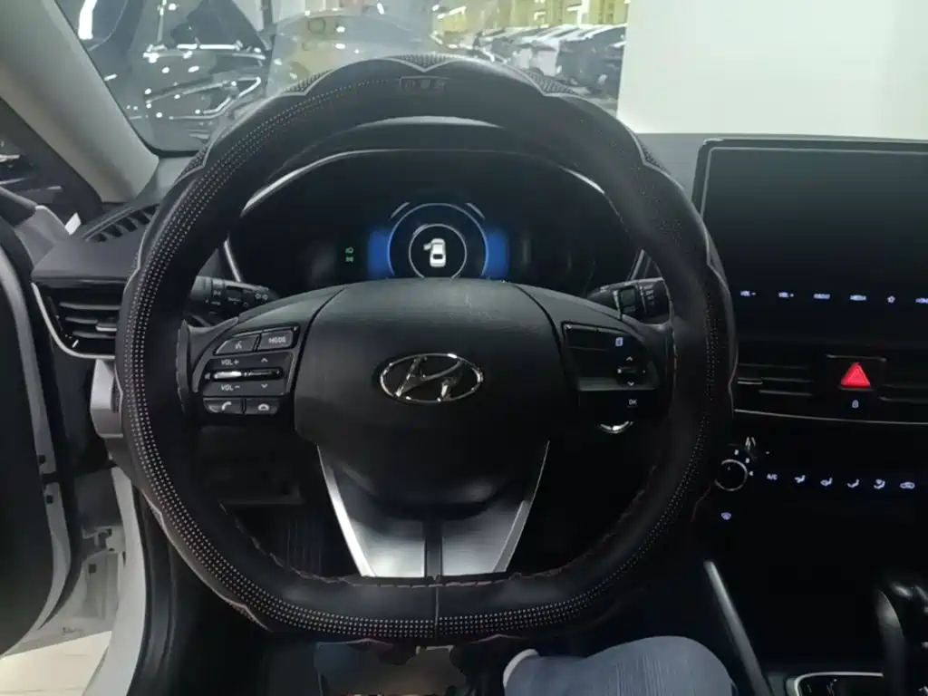 Hyundai Fista — миниатюра 11