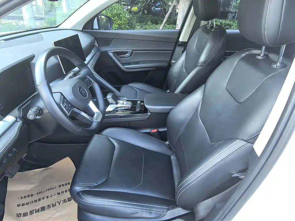 BYD Pro — миниатюра 4