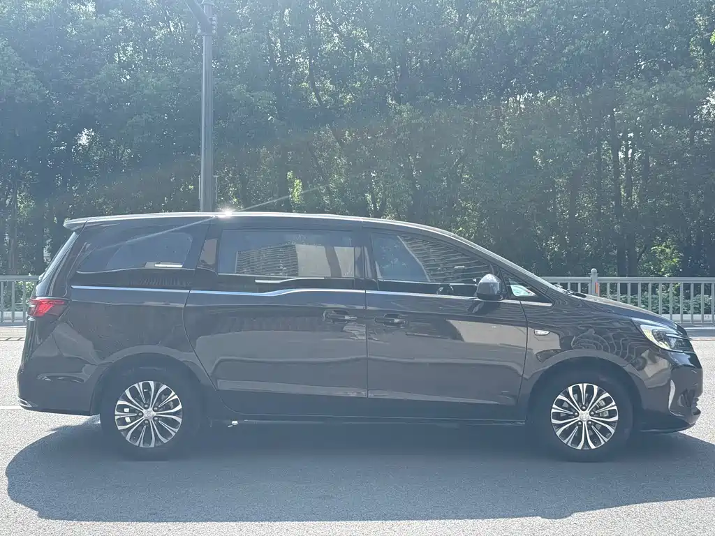 Buick GL8 — миниатюра 4