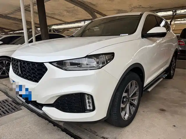 WEI PAI WEI BRAND VV6 2018