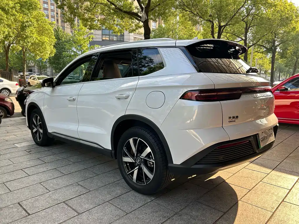 BYD Pro New Energy — миниатюра 14