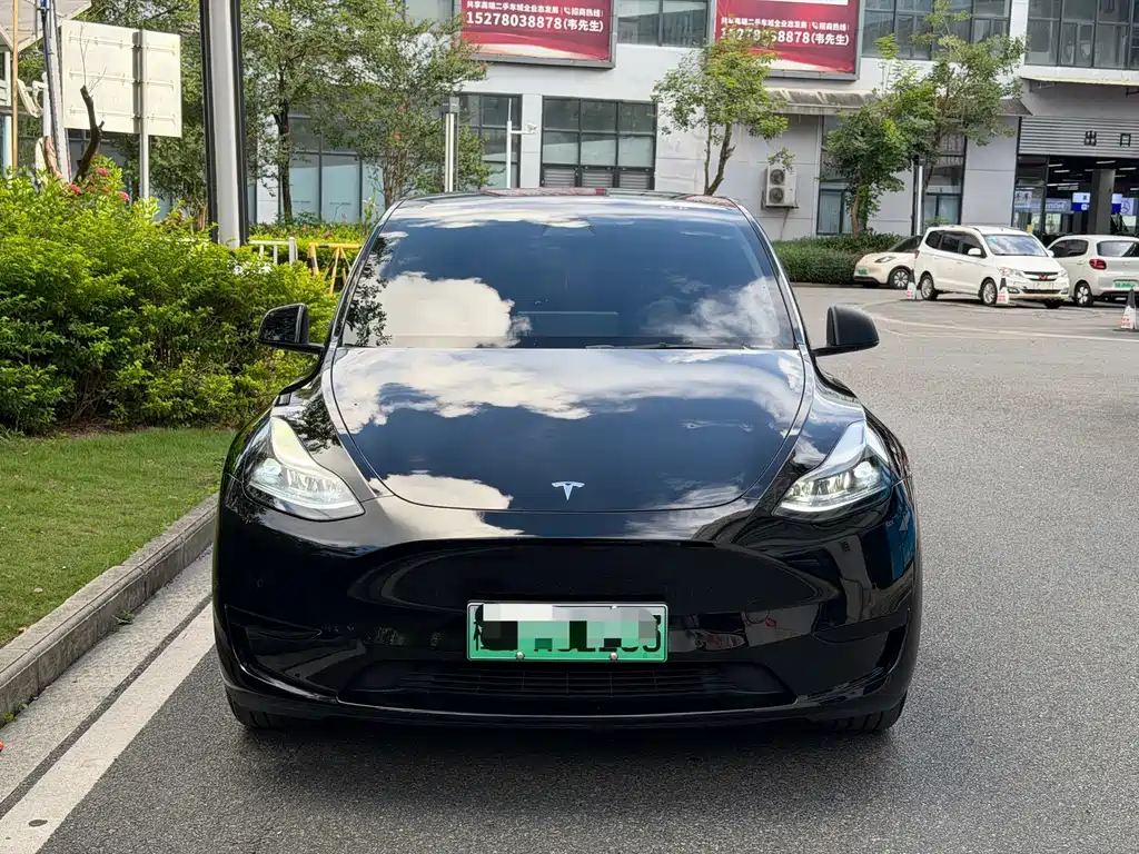Tesla Model Y — миниатюра 2