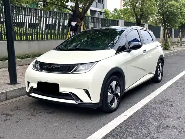 2023 BYD Dolphin
