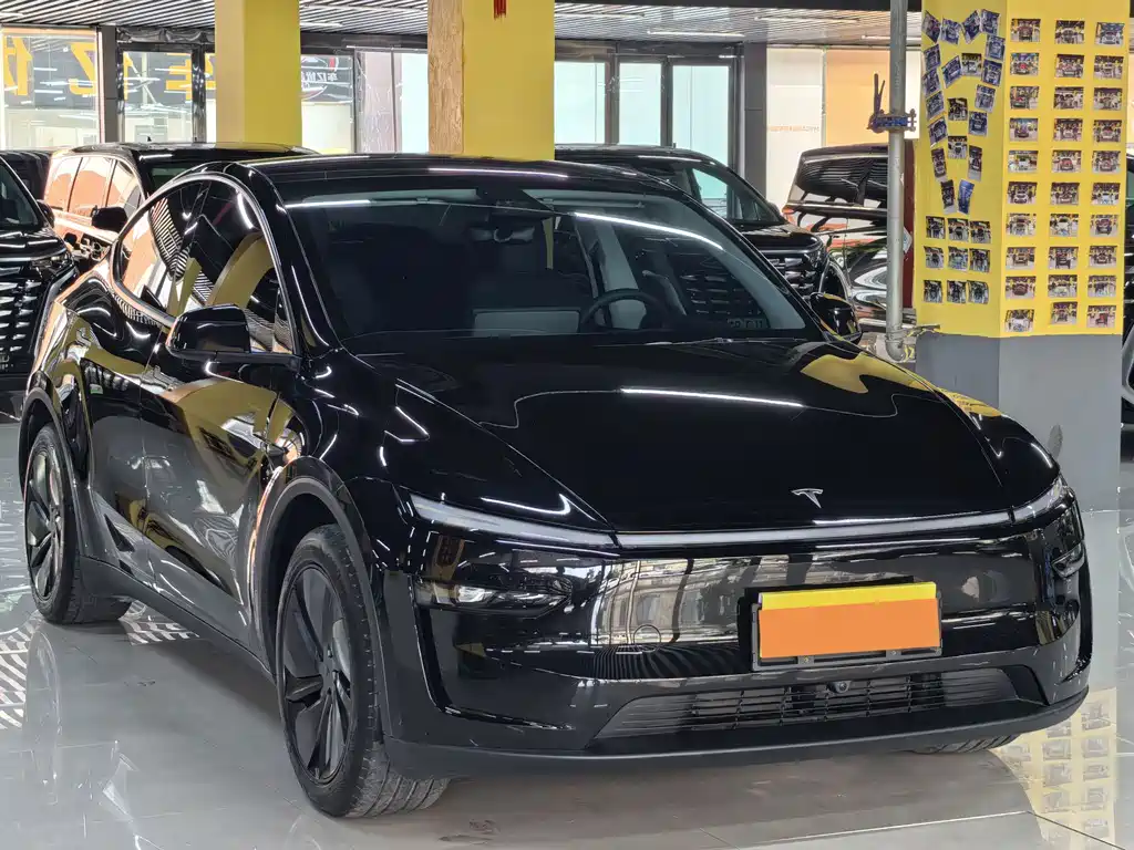 Tesla Model Y — миниатюра 3