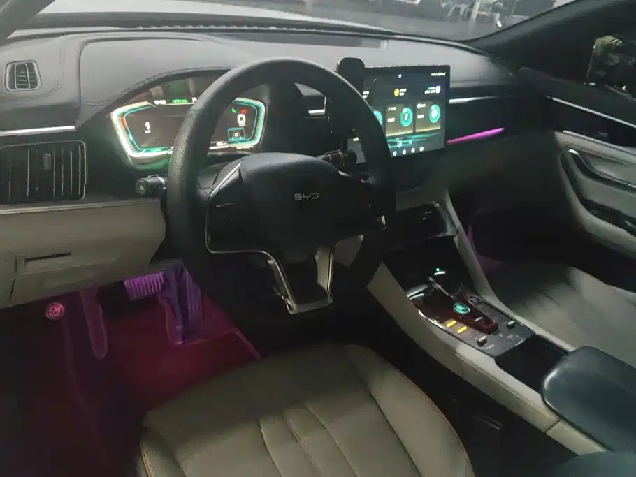 BYD PLUS New Energy — миниатюра 12