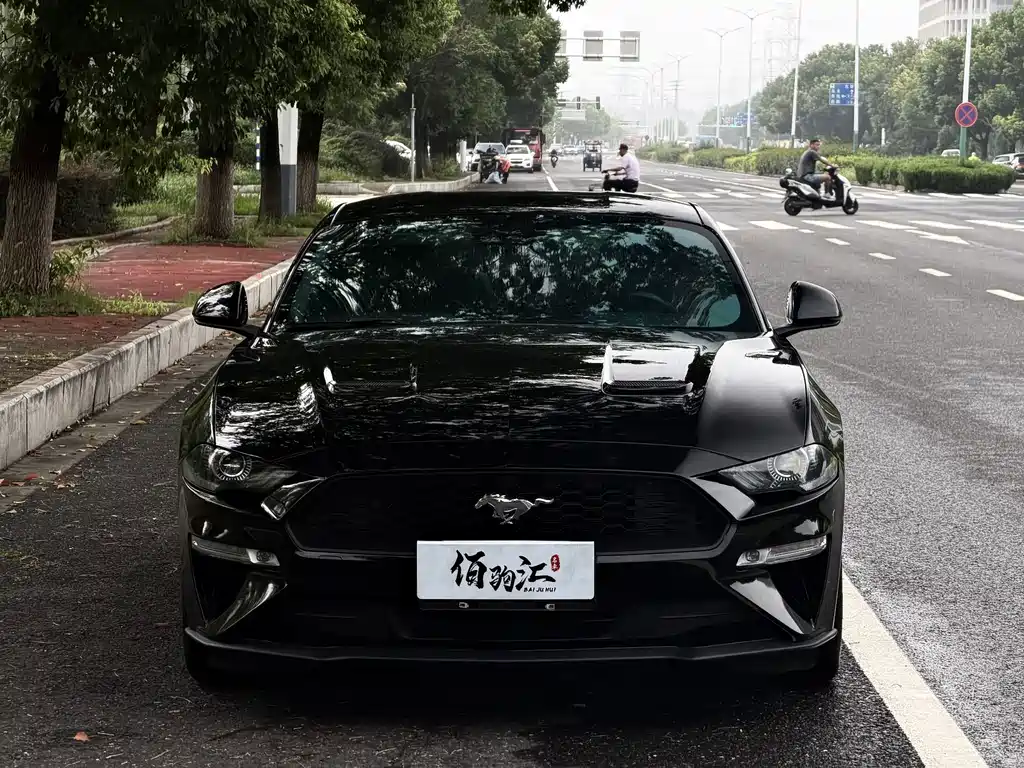Ford Mustang — миниатюра 2