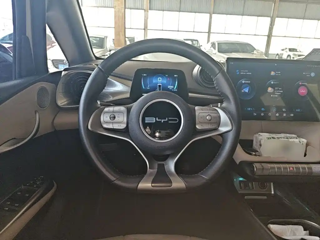 BYD Dolphin — миниатюра 11