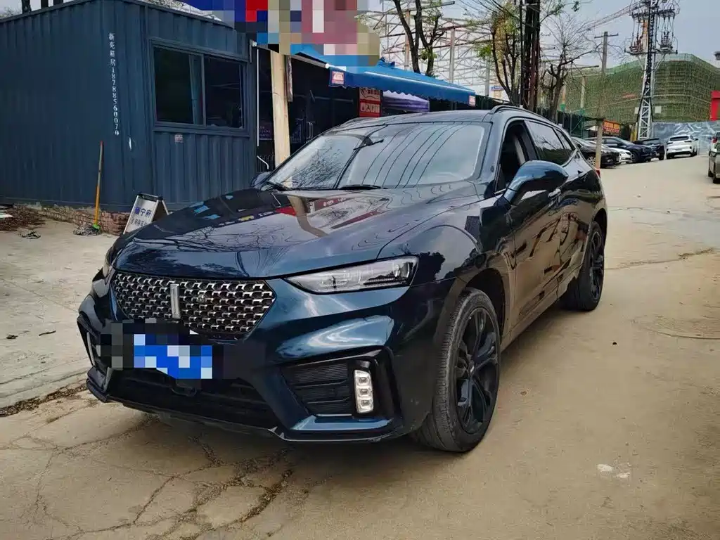 Купить Wey Wey VV7