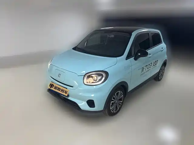 2025 Leapmotor T03