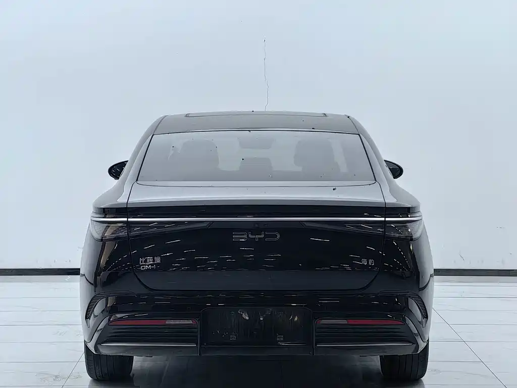 BYD Seal — миниатюра 13