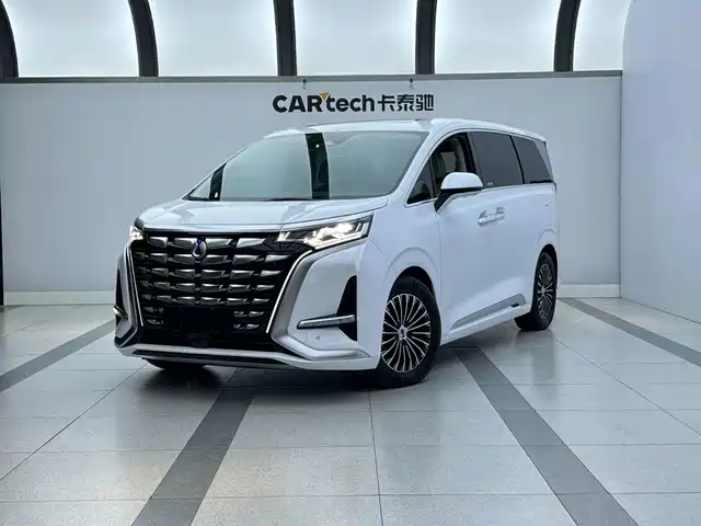 2024 Denza D9