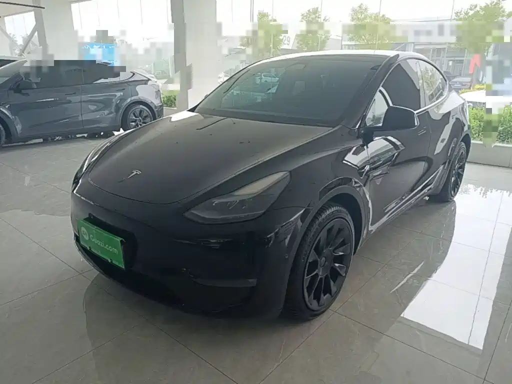 Tesla Model Y — миниатюра 2