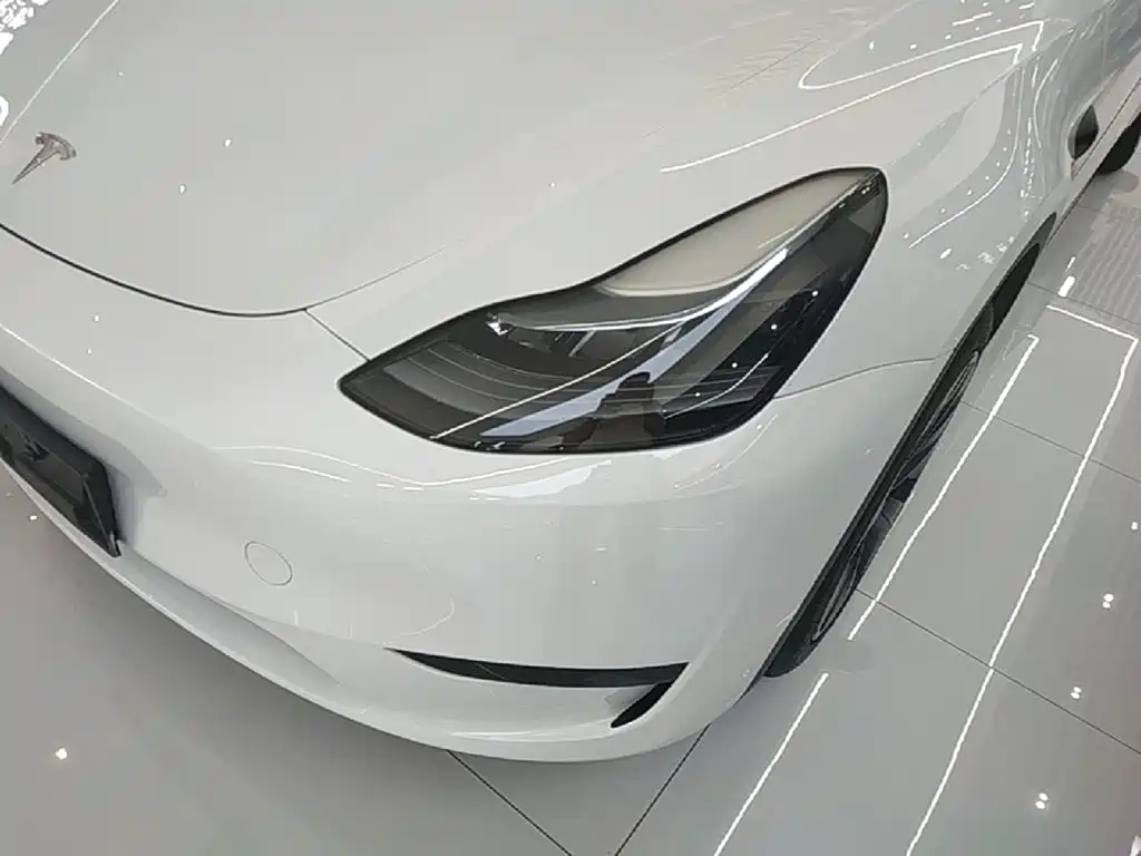 Tesla Model Y — миниатюра 24