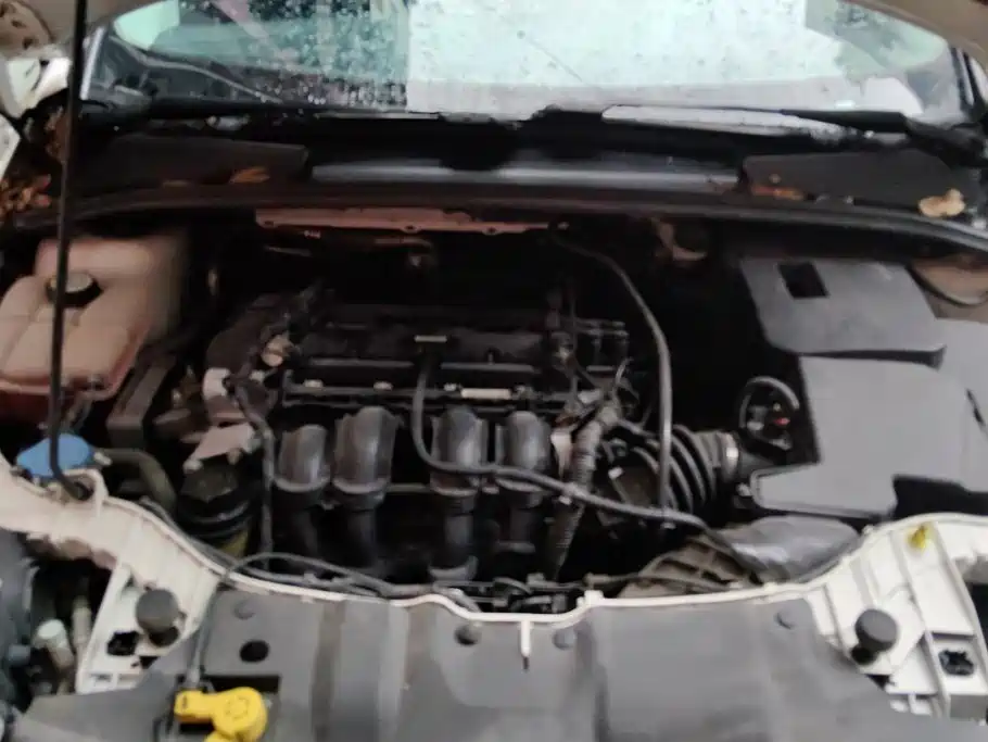 Ford Focus — миниатюра 10