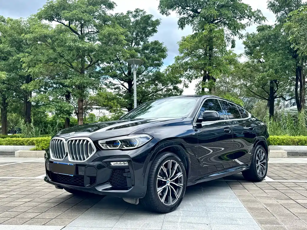 BMW X6