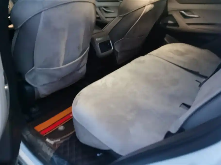 BYD SONGJIANG NEW ENERGY