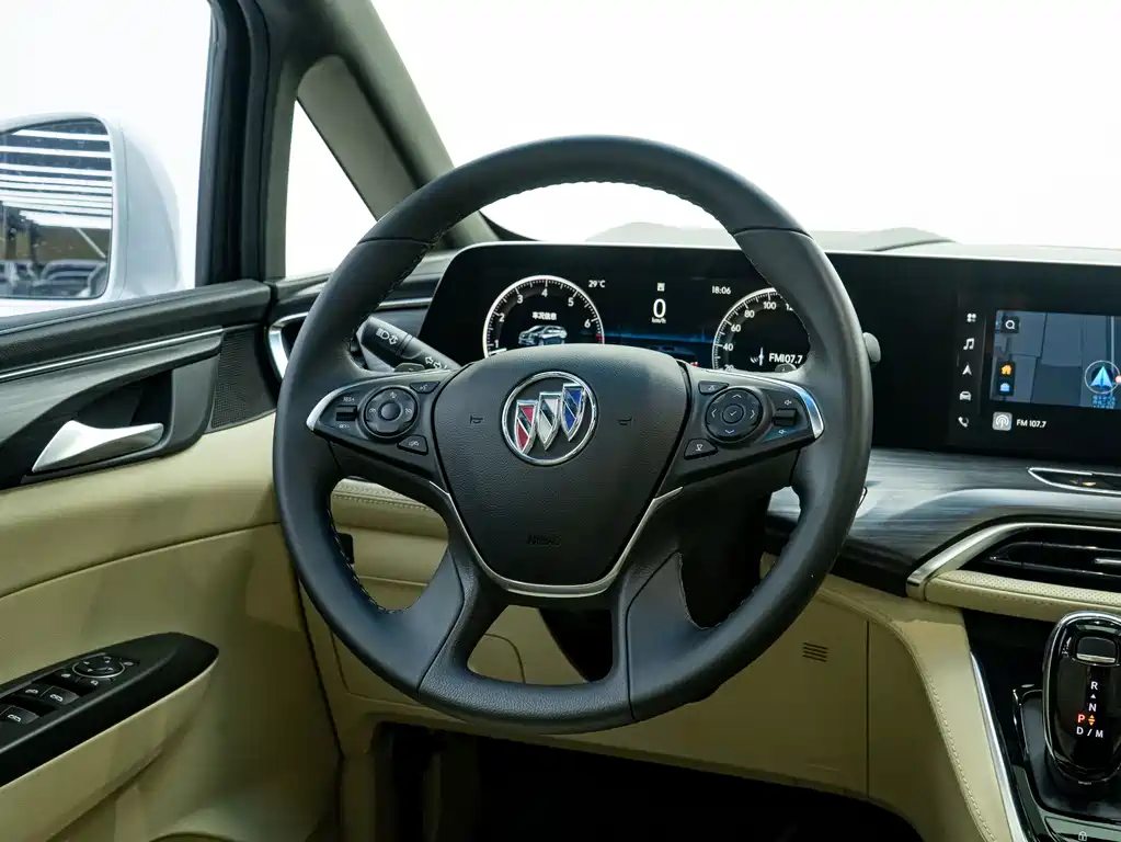 Buick GL8 — миниатюра 16