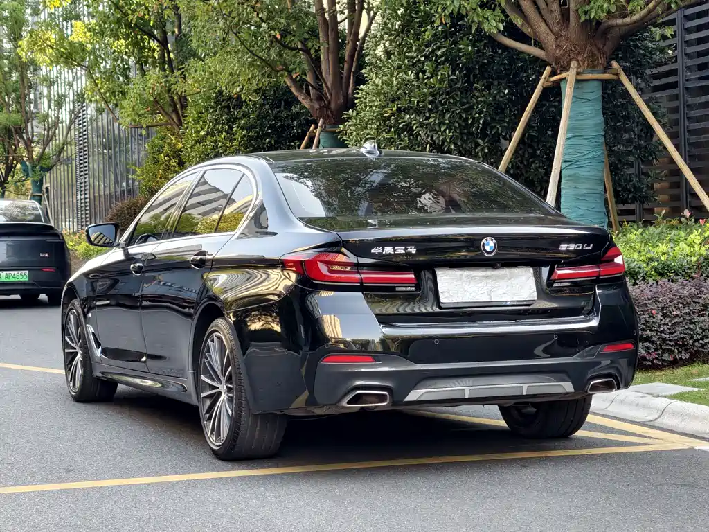 BMW 5 Series — миниатюра 3