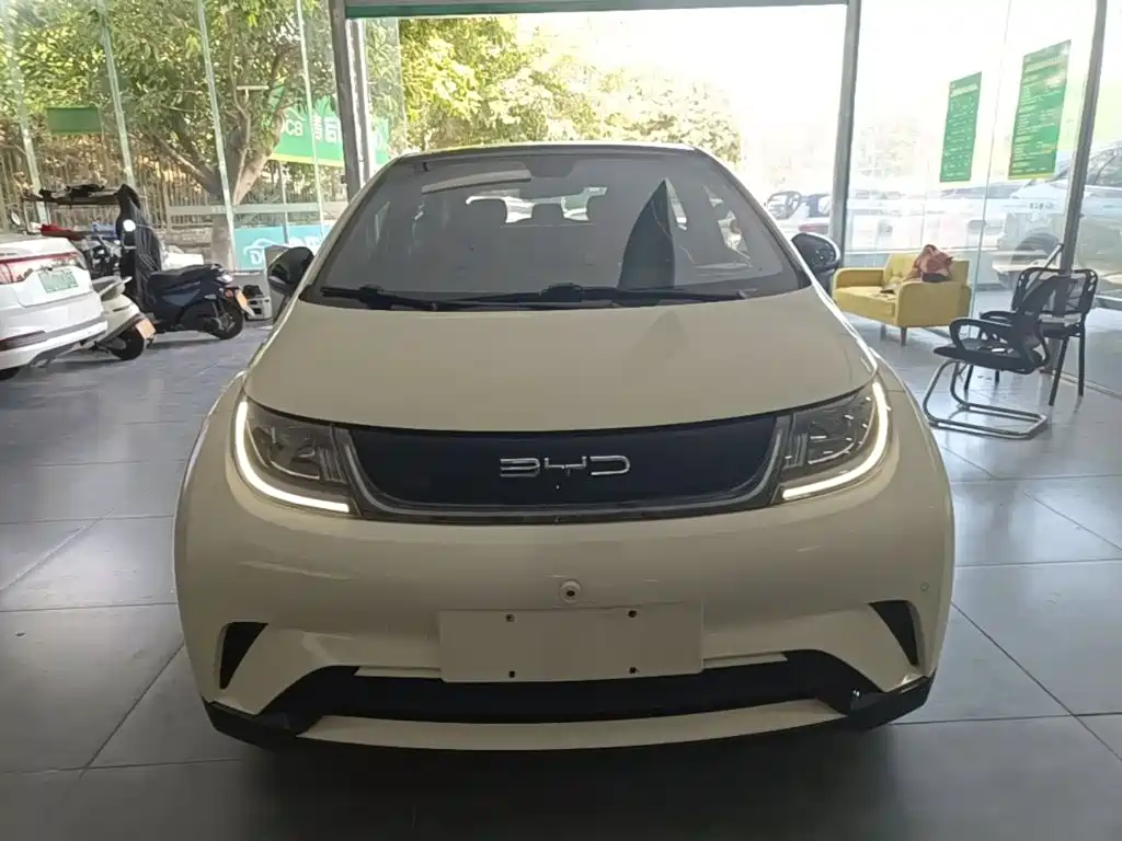 BYD Dolphin — миниатюра 3