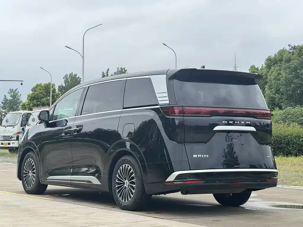 Denza Denza D9 — миниатюра 8