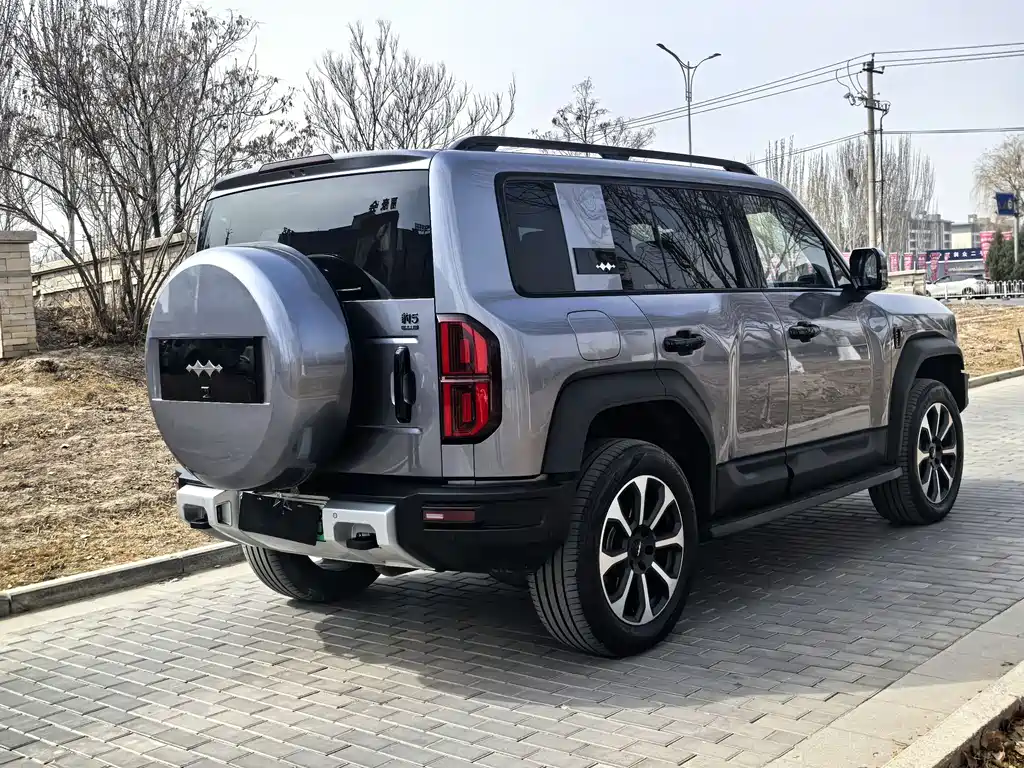 FANG CHENG BAO LEOPARD 5