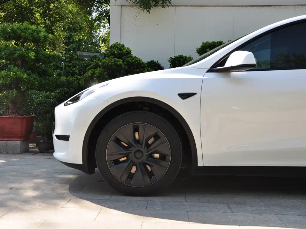 Tesla Model Y — миниатюра 6