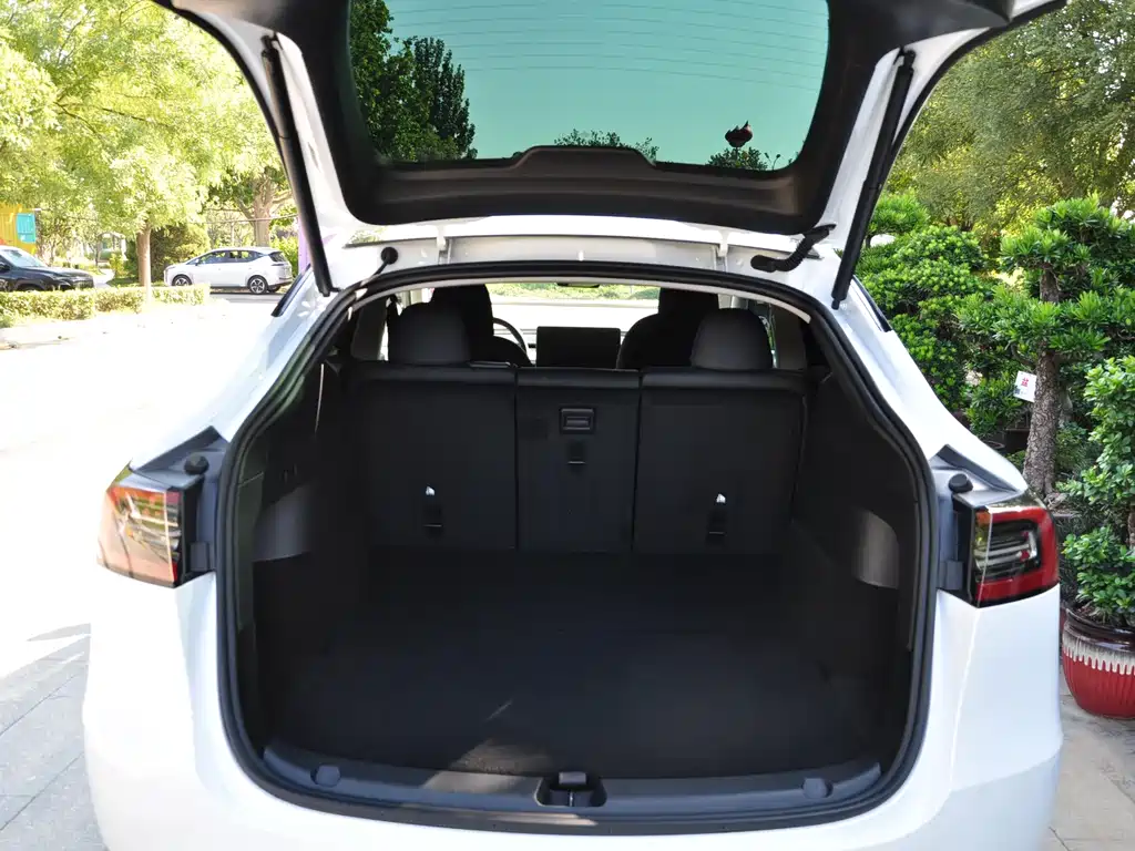 Tesla Model Y — миниатюра 7
