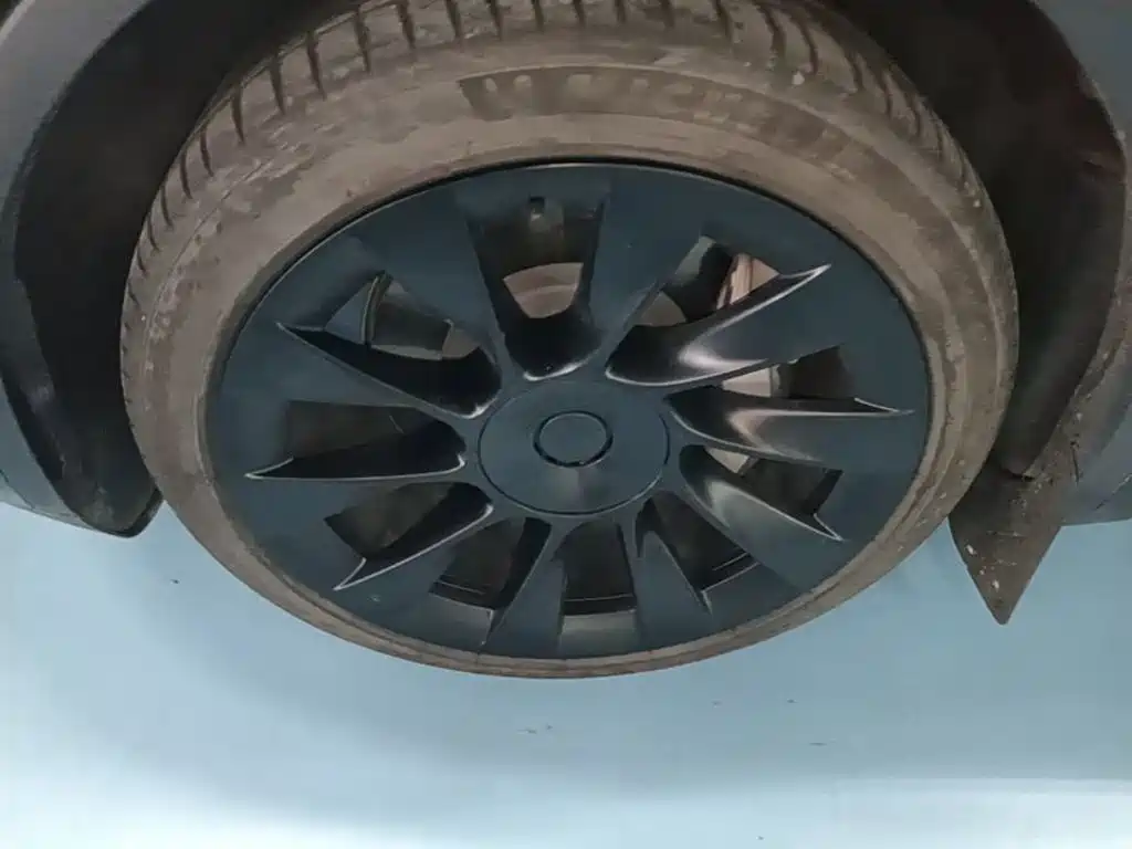 Tesla Model Y — миниатюра 23