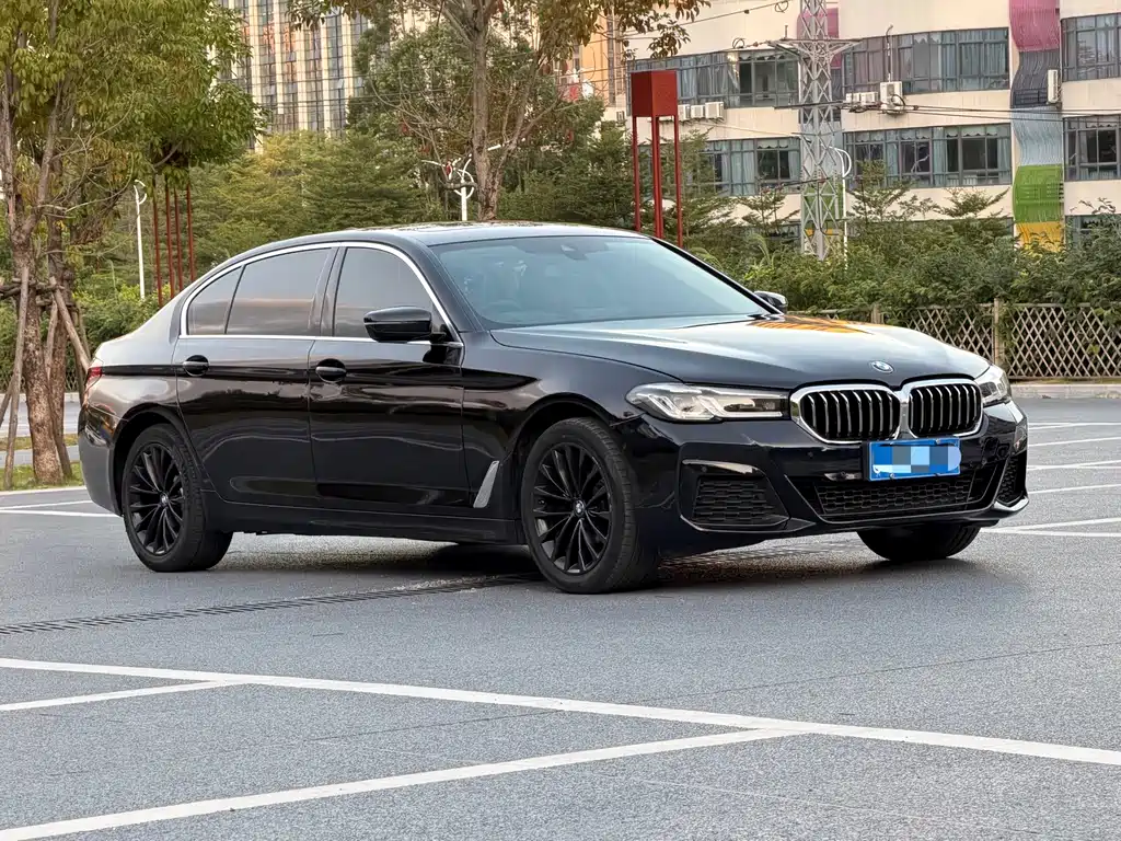 BMW 5 Series — миниатюра 3