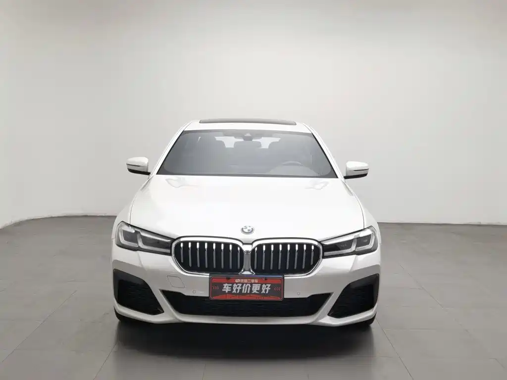 BMW 5 Series — миниатюра 3