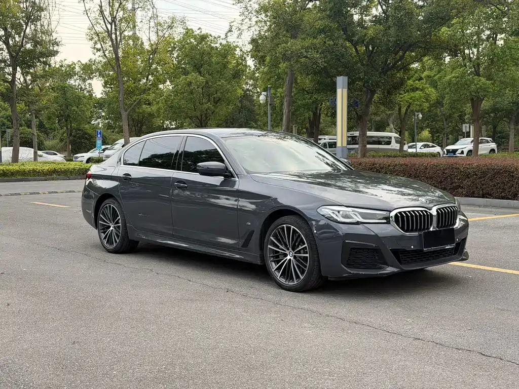 BMW 5 Series — миниатюра 3