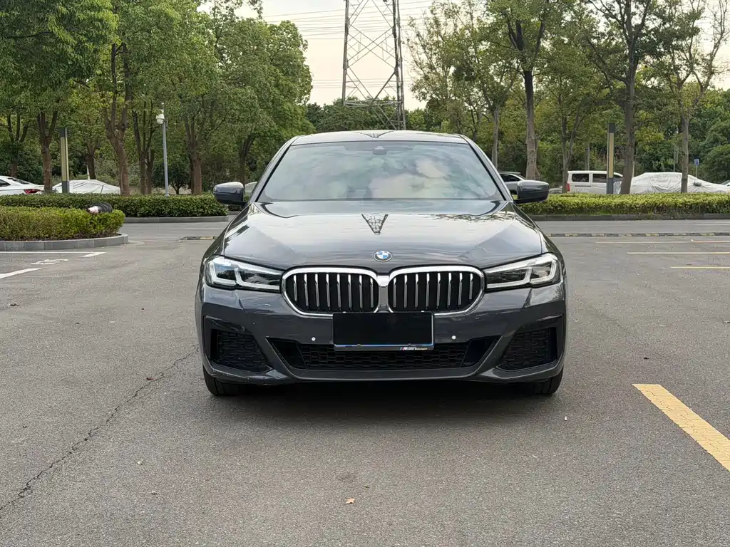 BMW 5 Series — миниатюра 2