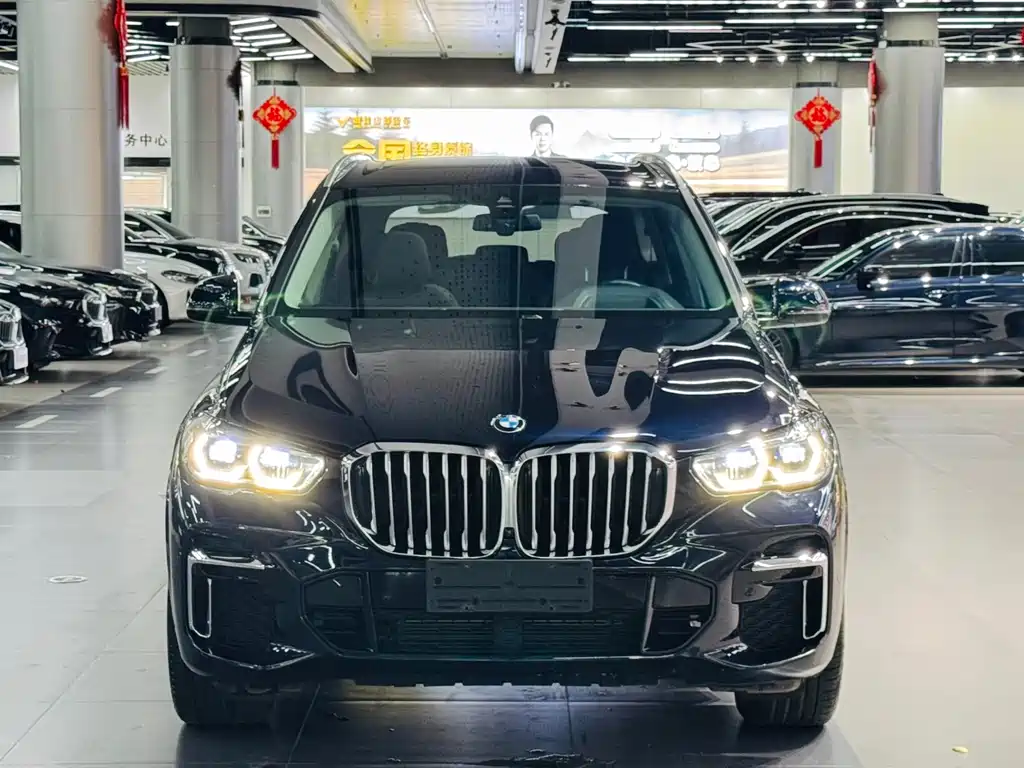 BMW X5 — миниатюра 2